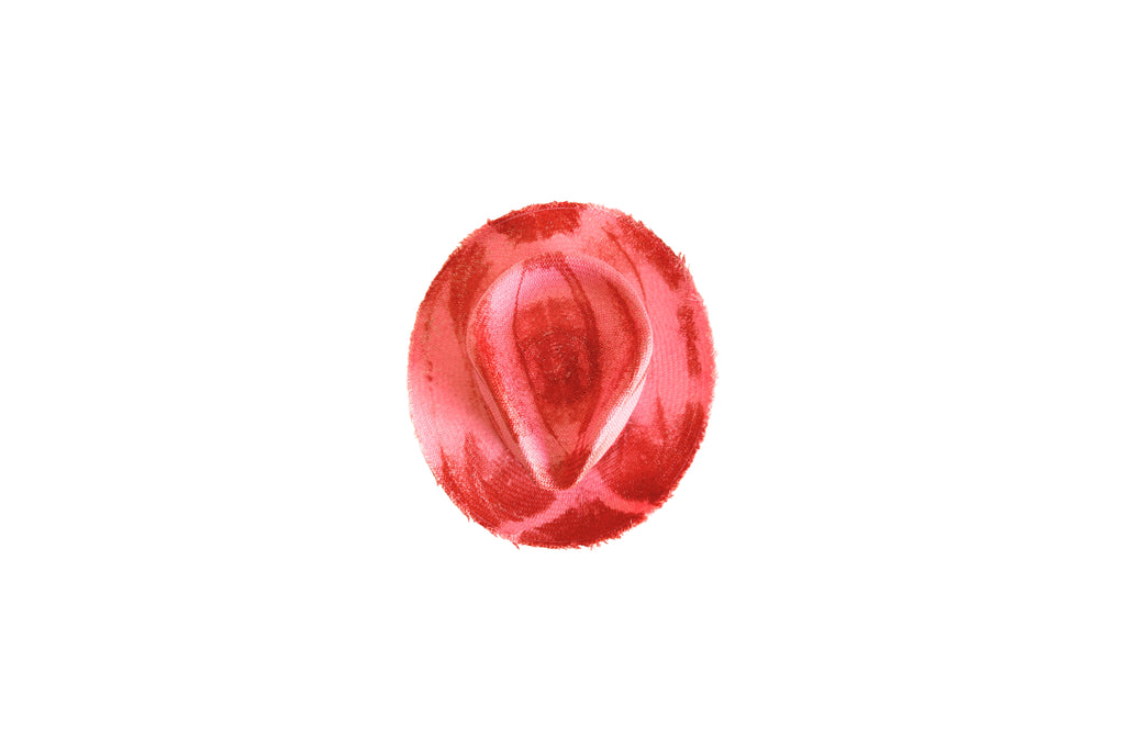Amapola