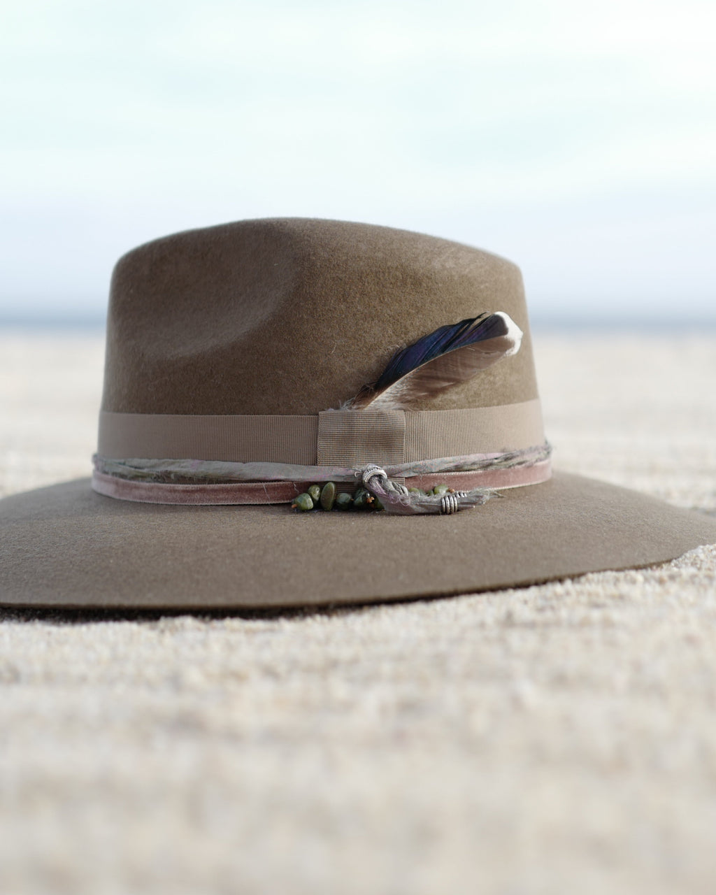 Tortuga